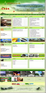 广安思衡网络发展 一站式企业信息化解决方案提供商