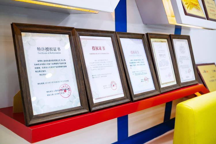 聚焦核心业务 计算机软件开发与销售的战略价值